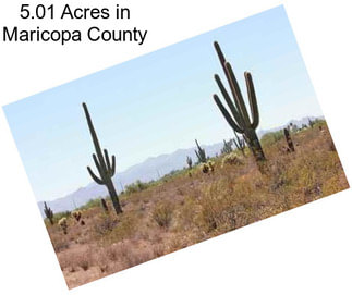 5.01 Acres in Maricopa County