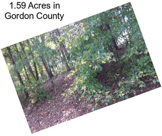 1.59 Acres in Gordon County