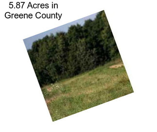 5.87 Acres in Greene County