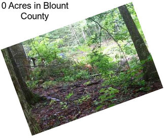 0 Acres in Blount County