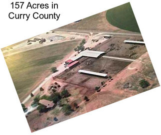 157 Acres in Curry County