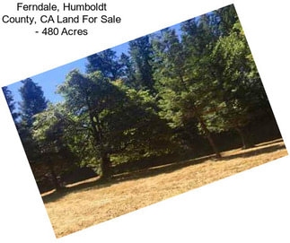 Ferndale, Humboldt County, CA Land For Sale - 480 Acres