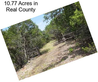 10.77 Acres in Real County