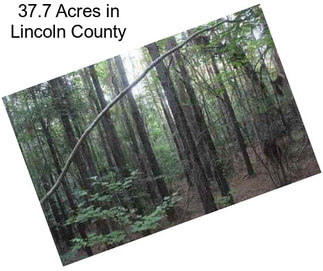 37.7 Acres in Lincoln County