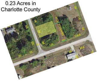 0.23 Acres in Charlotte County