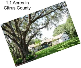 1.1 Acres in Citrus County