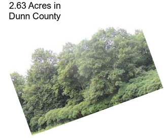 2.63 Acres in Dunn County