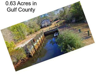 0.63 Acres in Gulf County