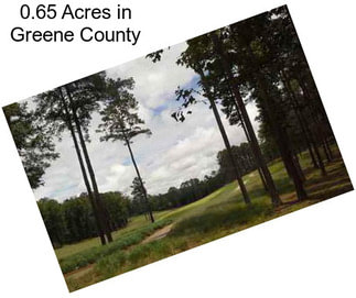 0.65 Acres in Greene County