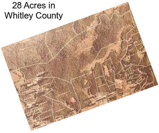 28 Acres in Whitley County