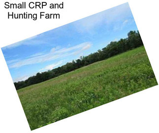 Small CRP and Hunting Farm