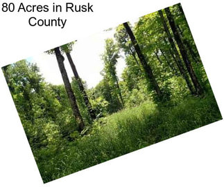 80 Acres in Rusk County