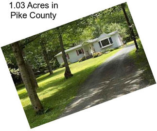1.03 Acres in Pike County