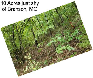 10 Acres just shy of Branson, MO