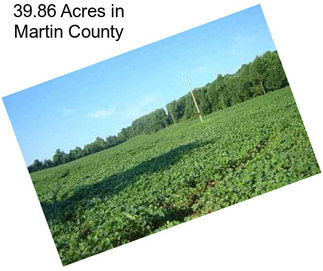 39.86 Acres in Martin County