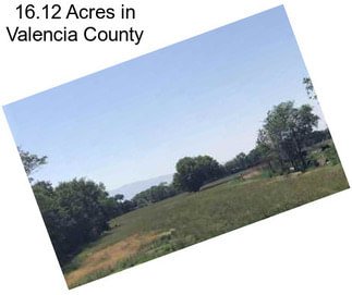 16.12 Acres in Valencia County