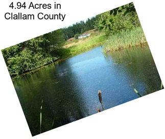 4.94 Acres in Clallam County