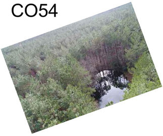 CO54