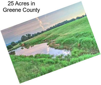 25 Acres in Greene County