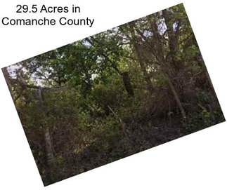 29.5 Acres in Comanche County
