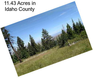 11.43 Acres in Idaho County