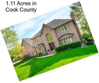 1.11 Acres in Cook County
