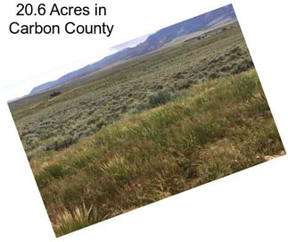 20.6 Acres in Carbon County