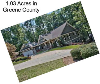 1.03 Acres in Greene County
