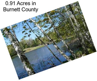 0.91 Acres in Burnett County
