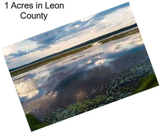 1 Acres in Leon County