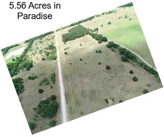 5.56 Acres in Paradise