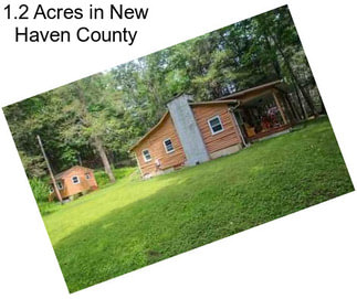 1.2 Acres in New Haven County