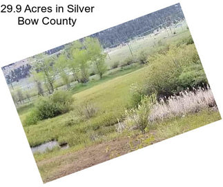 29.9 Acres in Silver Bow County