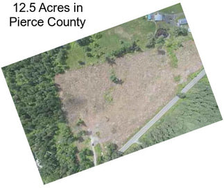 12.5 Acres in Pierce County