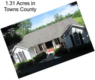 1.31 Acres in Towns County