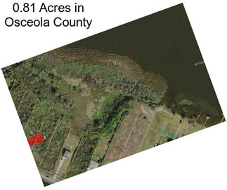 0.81 Acres in Osceola County
