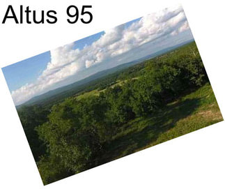 Altus 95