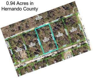 0.94 Acres in Hernando County