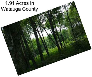1.91 Acres in Watauga County