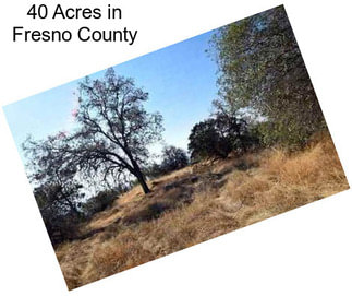 40 Acres in Fresno County