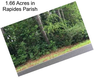 1.66 Acres in Rapides Parish