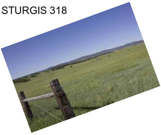STURGIS 318