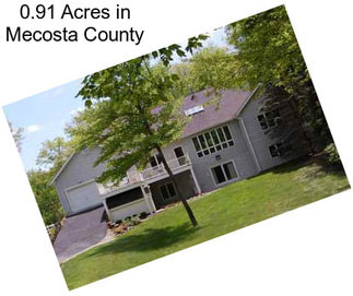 0.91 Acres in Mecosta County