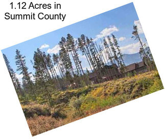 1.12 Acres in Summit County