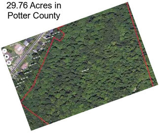 29.76 Acres in Potter County