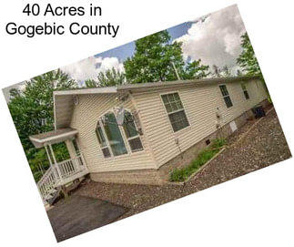 40 Acres in Gogebic County