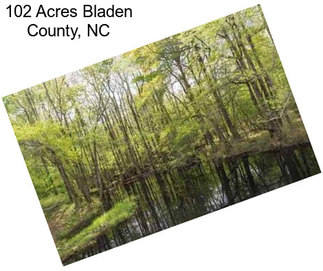102 Acres Bladen County, NC