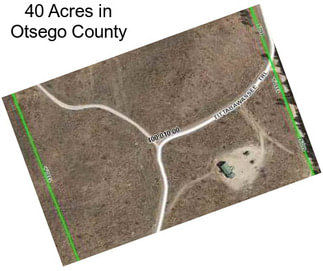 40 Acres in Otsego County