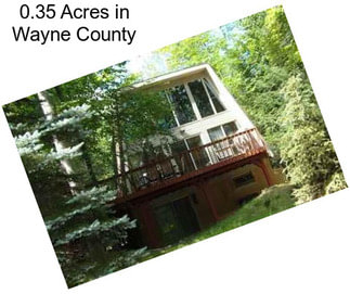 0.35 Acres in Wayne County