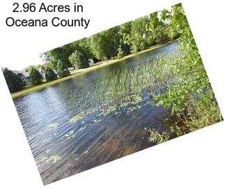 2.96 Acres in Oceana County